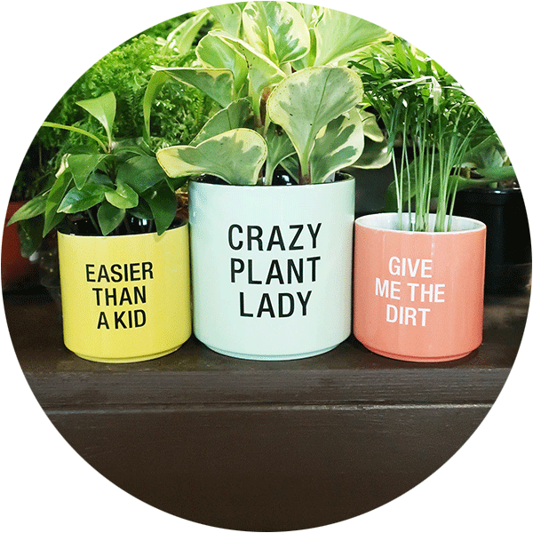 Inspirational Bird Stakes with Be Happy, Love and Bloom on them